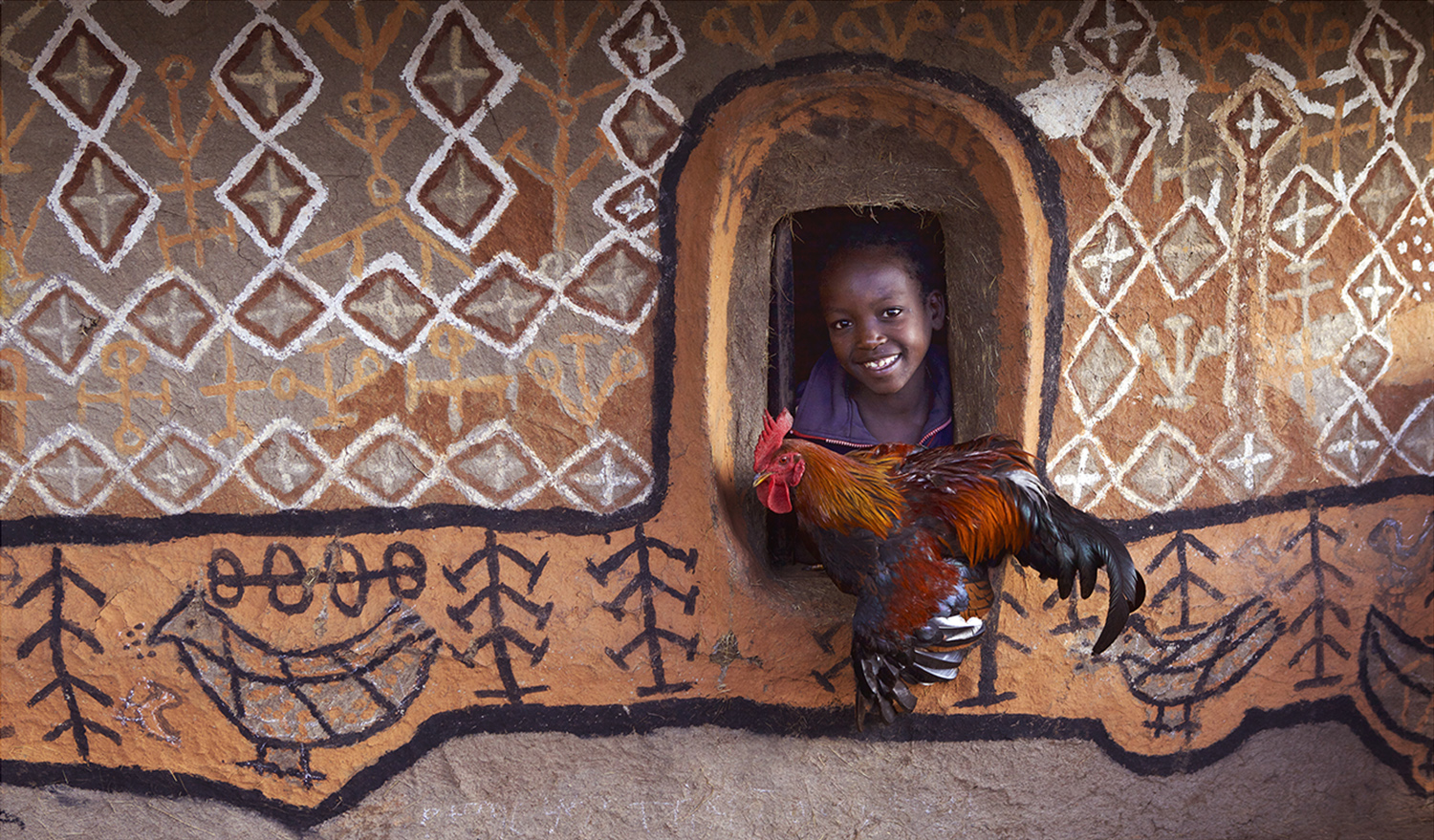Les poules des Benchs, photographie Hans Silvester